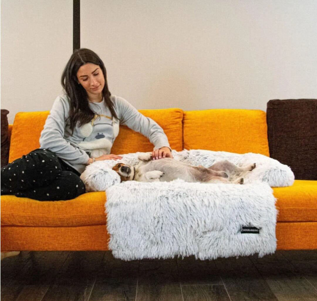 Kuscheliges Haustierbett Hundesofa