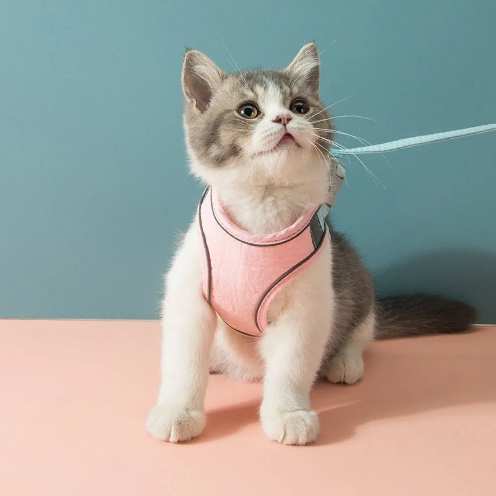 SafeCat – Sicheres & Ausbruchsicheres Katzengeschirr mit Leine