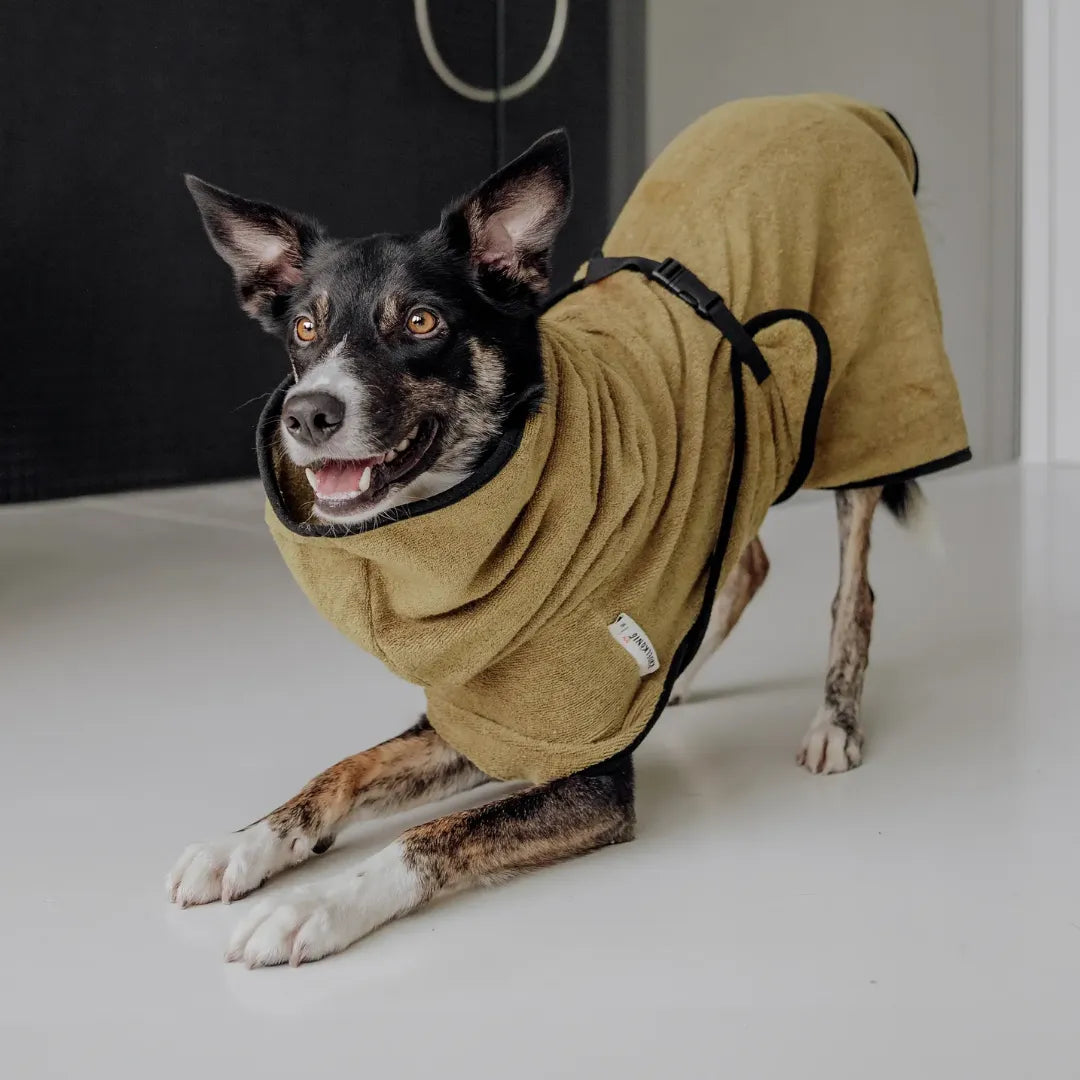 Hunde Bademantel aus Frottee-Baumwolle | Saugstark & waschbar
