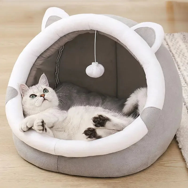 Zelara – Wo Ihre Katze gerne abhängt!