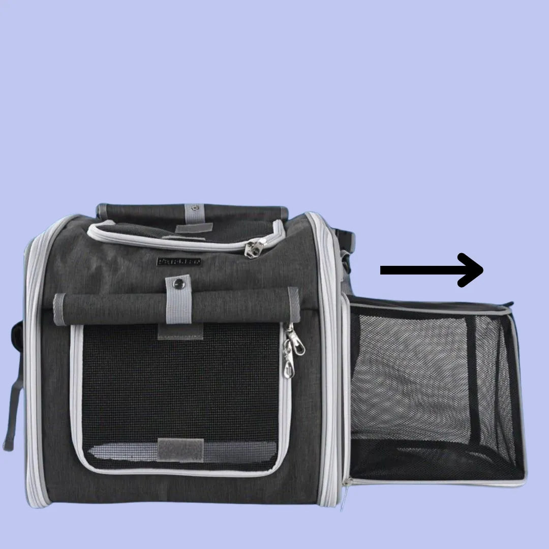 VeloPfote – Der sichere Fahrradkorb für entspannte Ausflüge mit deinem Hund