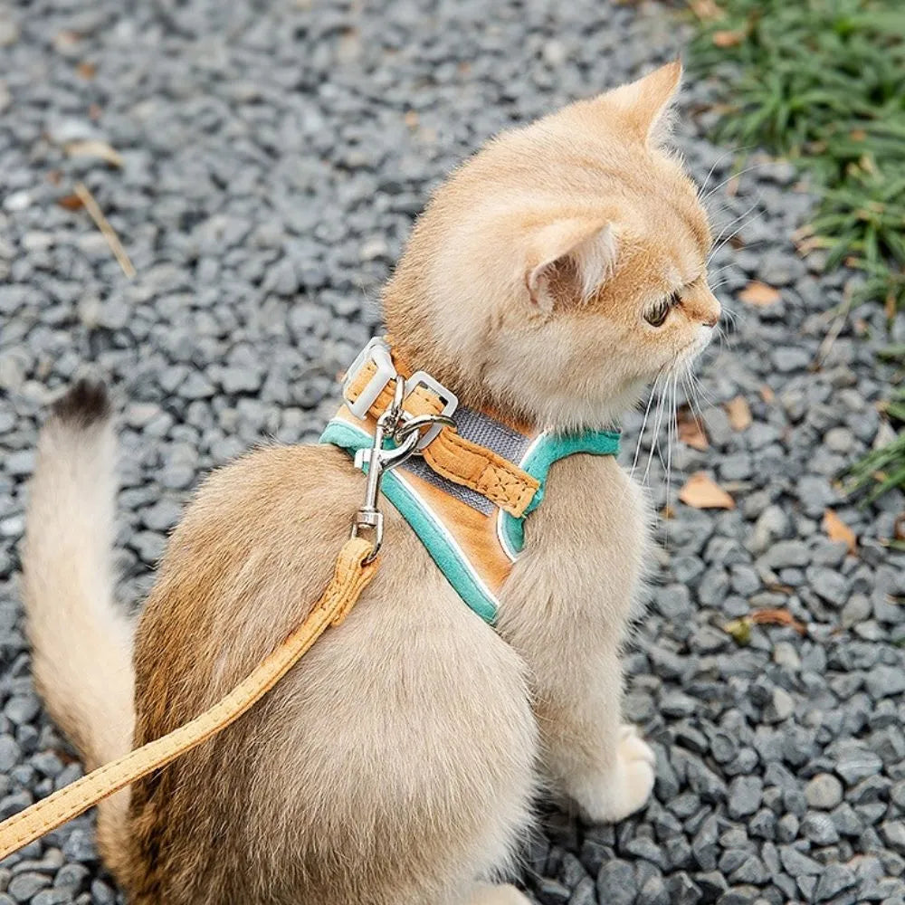 SafeCat – Sicheres & Ausbruchsicheres Katzengeschirr mit Leine