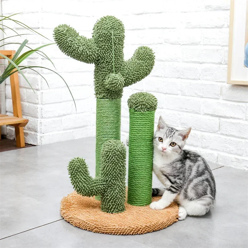 Zelara – Schonen Sie Ihre Couch und machen Sie Ihrer Katze eine Freude!