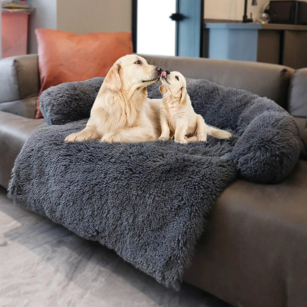 Zelara - Schütze dein Sofa. Verwöhne dein Haustier.