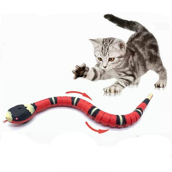 Zelara Snake - Unendlicher Spielspaß für Ihr Haustier!