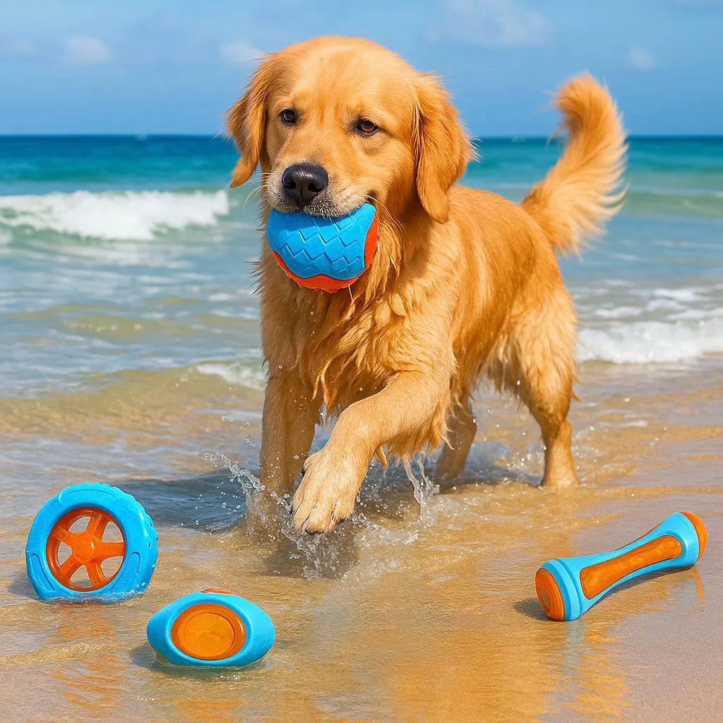 Hundespielzeug aus Naturgummi | Robust für starke Kauer & Kauspiel