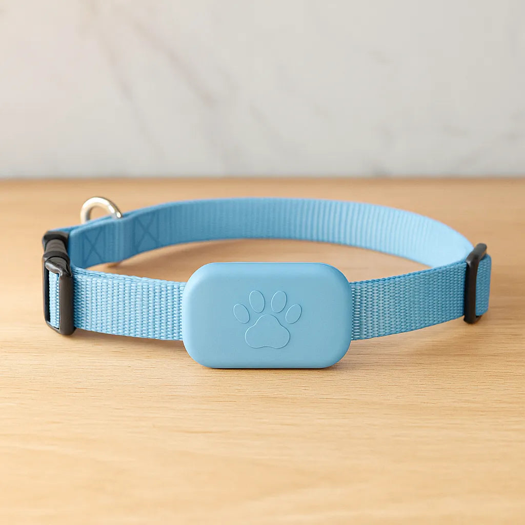 GPS-Tracker für Hunde & Katzen mit Echtzeit-Ortung