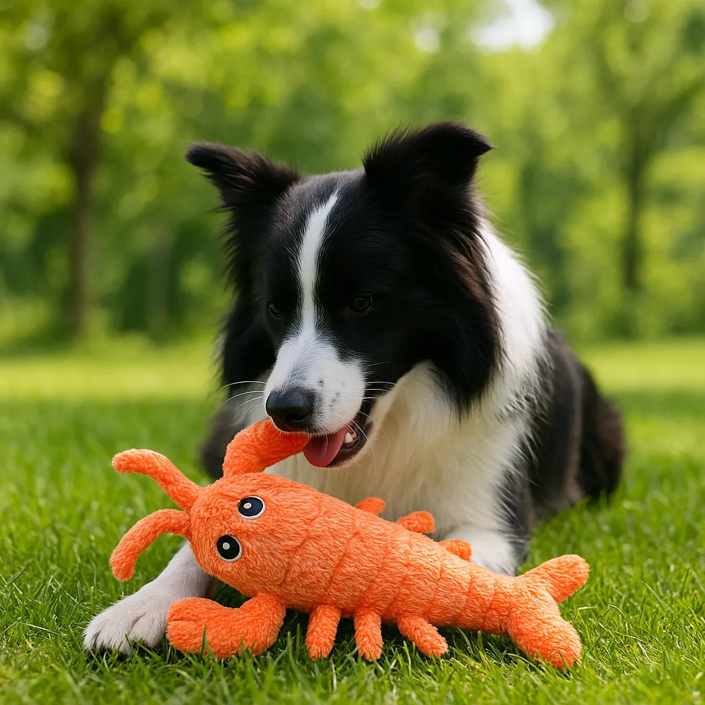 Interaktives Haustierspielzeug | Plüsch-Hummer für Katzen & Hunde