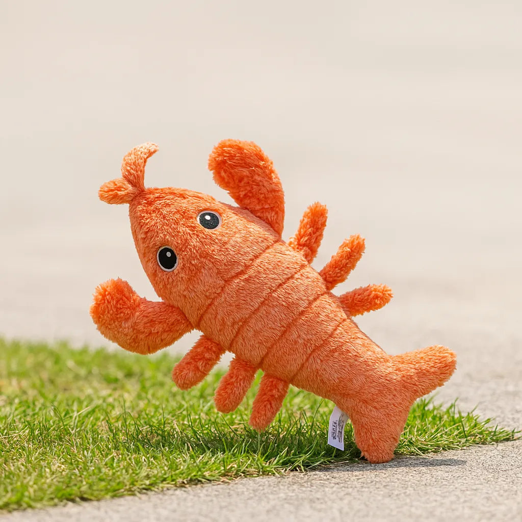 Interaktives Haustierspielzeug | Plüsch-Hummer für Katzen & Hunde