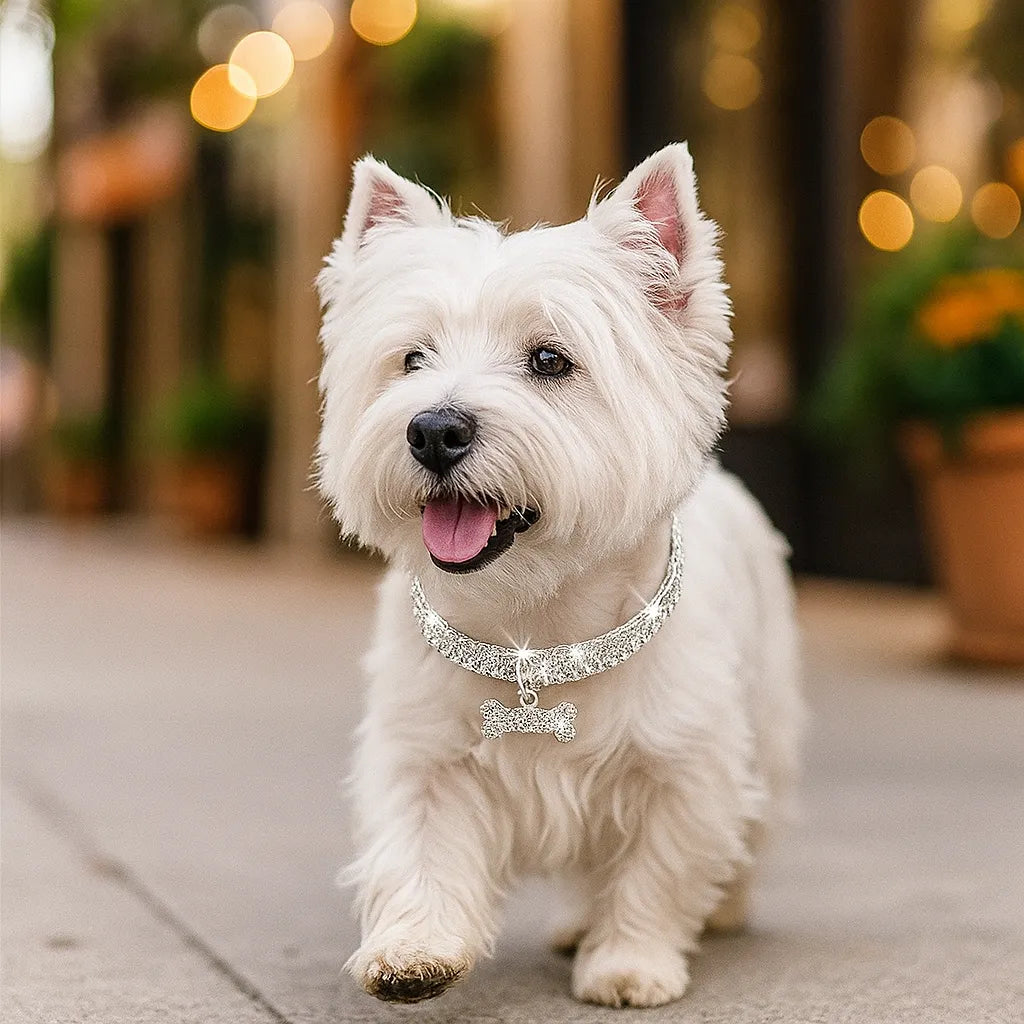 Glitzerndes Hundehalsband mit Anhänger – Elegantes Halsband für kleine & mittelgroße Hunde