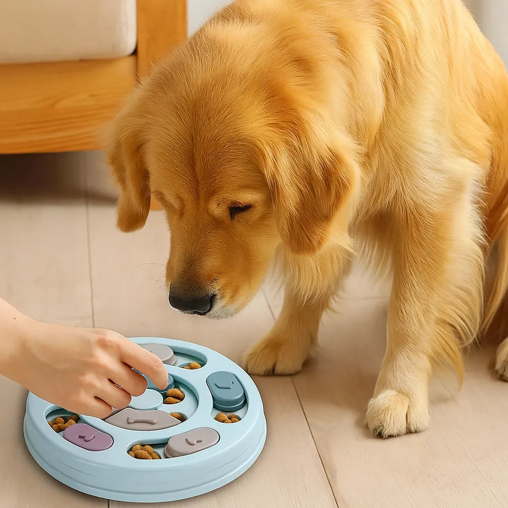 Interaktives Intelligenzspielzeug für Hunde | Mit Futterausgabe