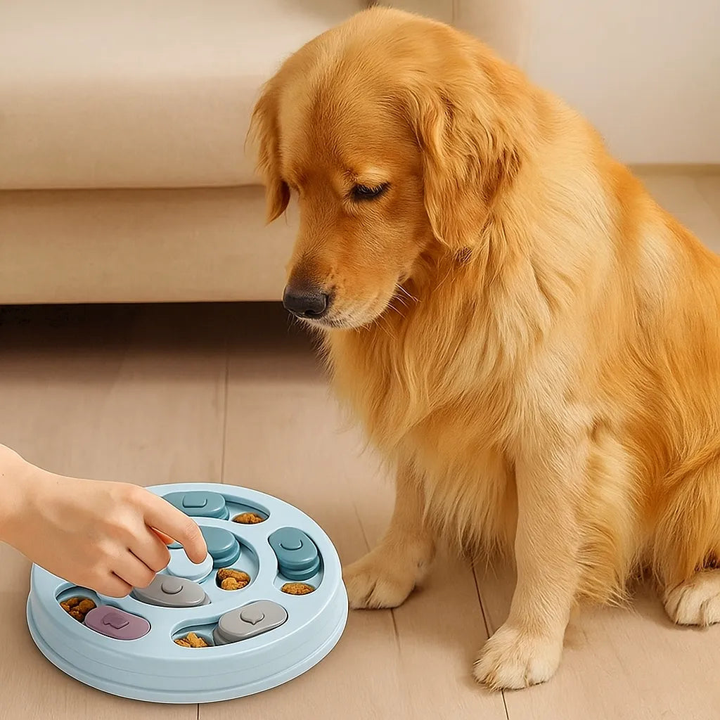 Interaktives Intelligenzspielzeug für Hunde | Mit Futterausgabe