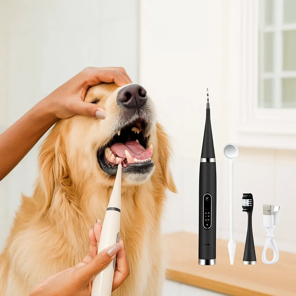 Zahnbürsten-Set für Hunde – Gegen Plaque & Mundgeruch