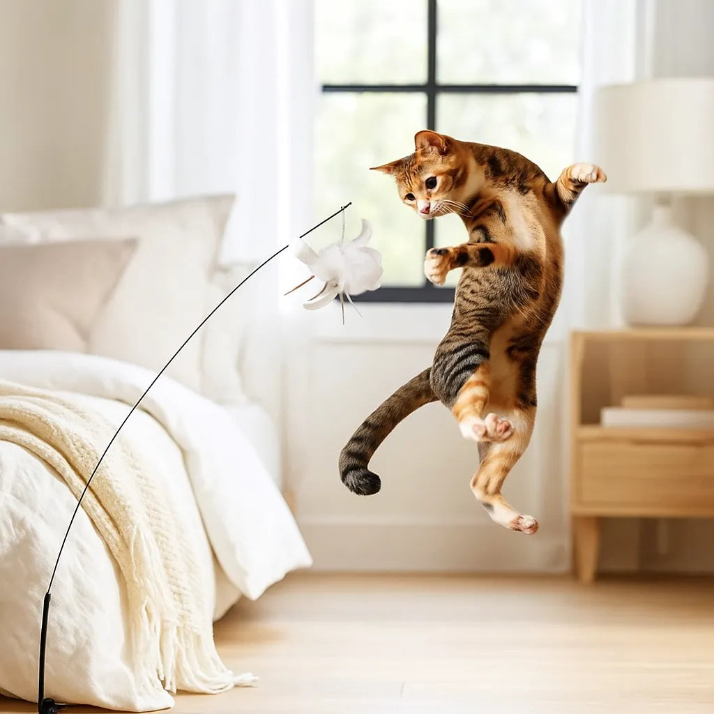 Interaktives Katzenspielzeug mit Vogel – Für mehr Bewegung, Spaß & mentale Auslastung