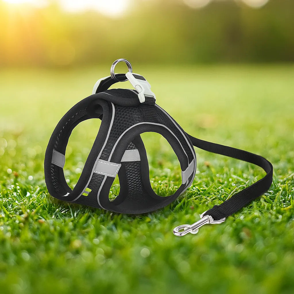 Katzengeschirr mit Leine | Bequem & sicher für Spaziergänge