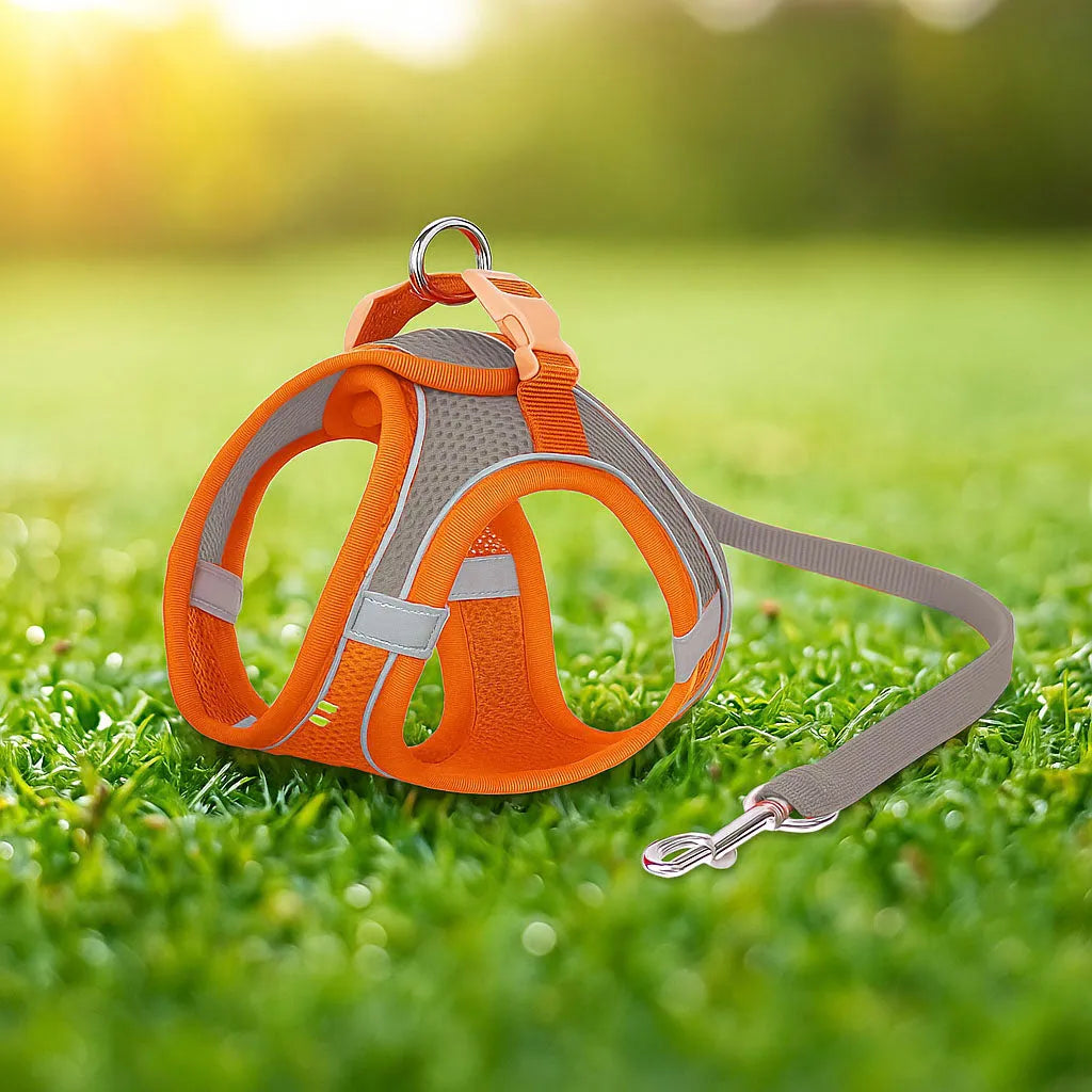 Katzengeschirr mit Leine | Bequem & sicher für Spaziergänge