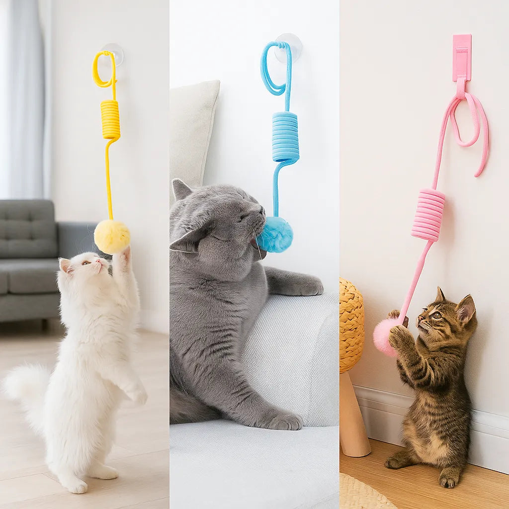 Interaktives Katzenspielzeug Gummizug - Für Wohnungskatzen