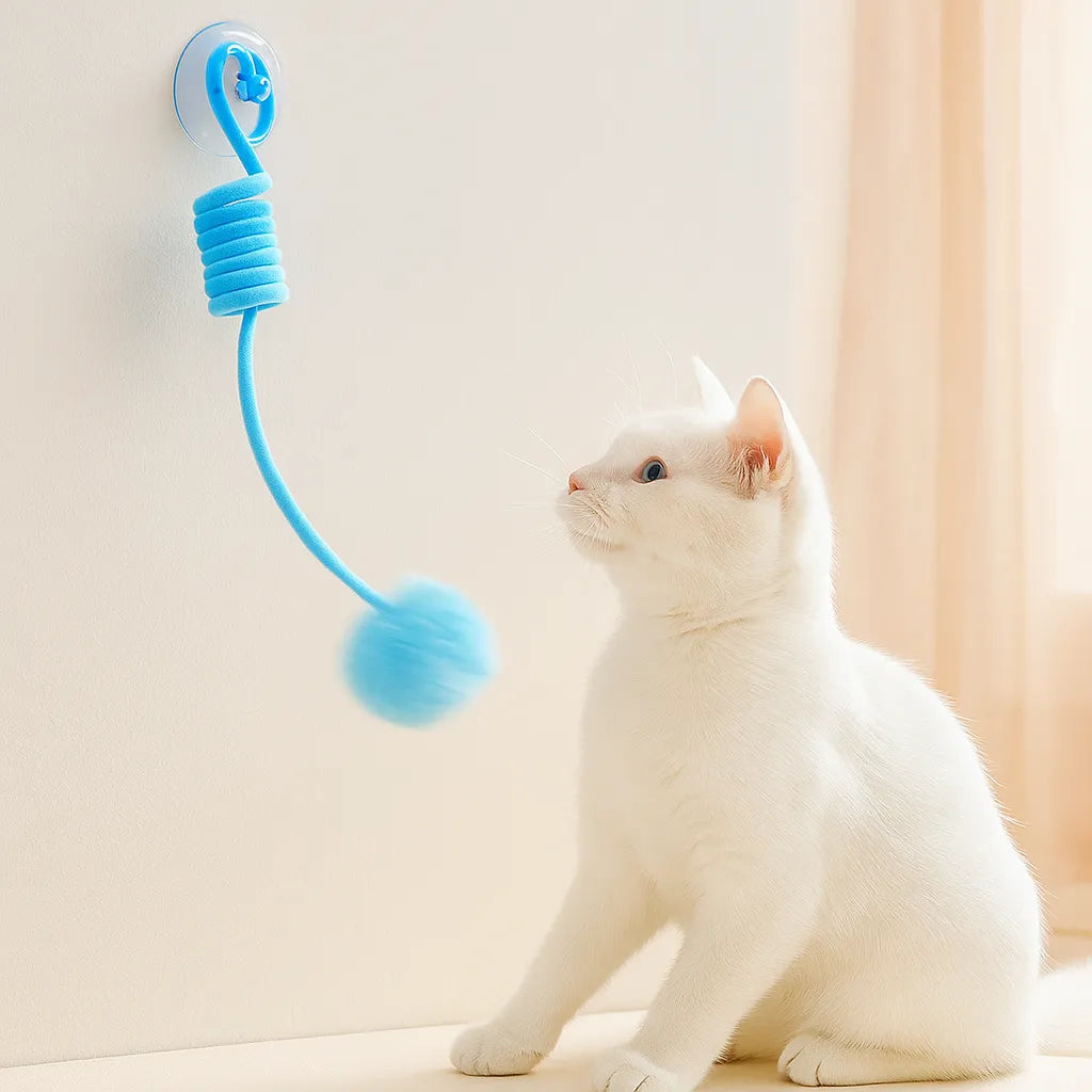 Interaktives Katzenspielzeug Gummizug - Für Wohnungskatzen