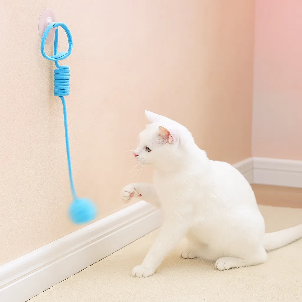 Interaktives Katzenspielzeug Gummizug - Für Wohnungskatzen