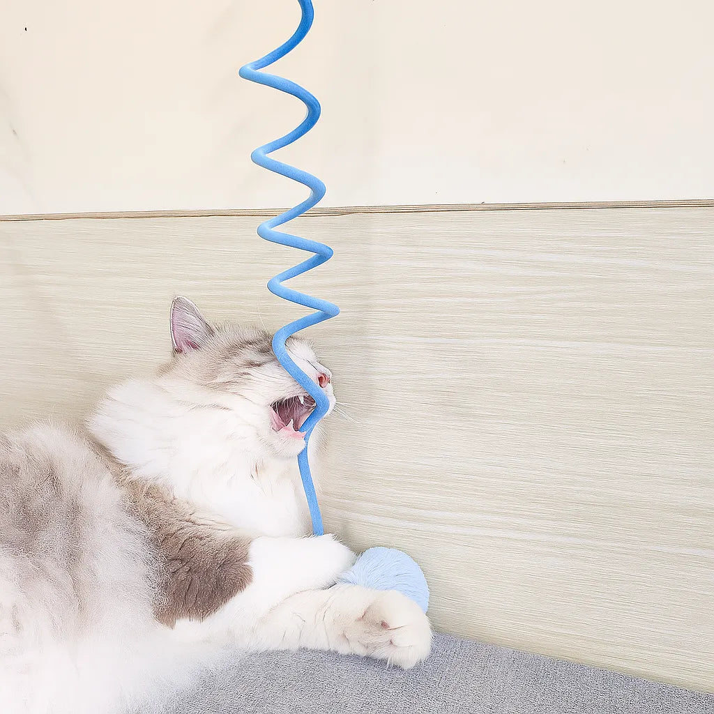 Interaktives Katzenspielzeug Gummizug - Für Wohnungskatzen
