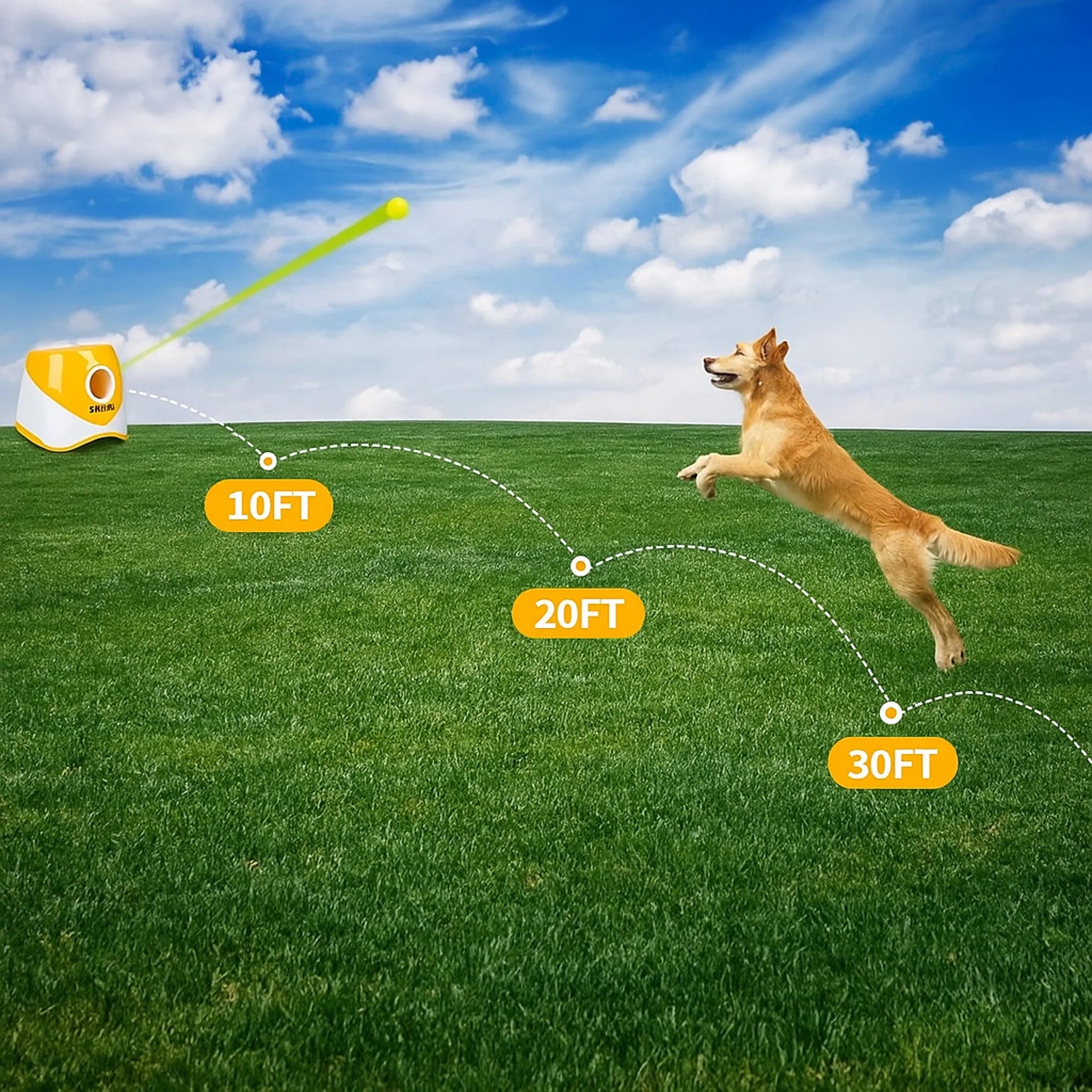 Automatischer Ballwerfer für Hunde | Apportiertraining & Spielzeug