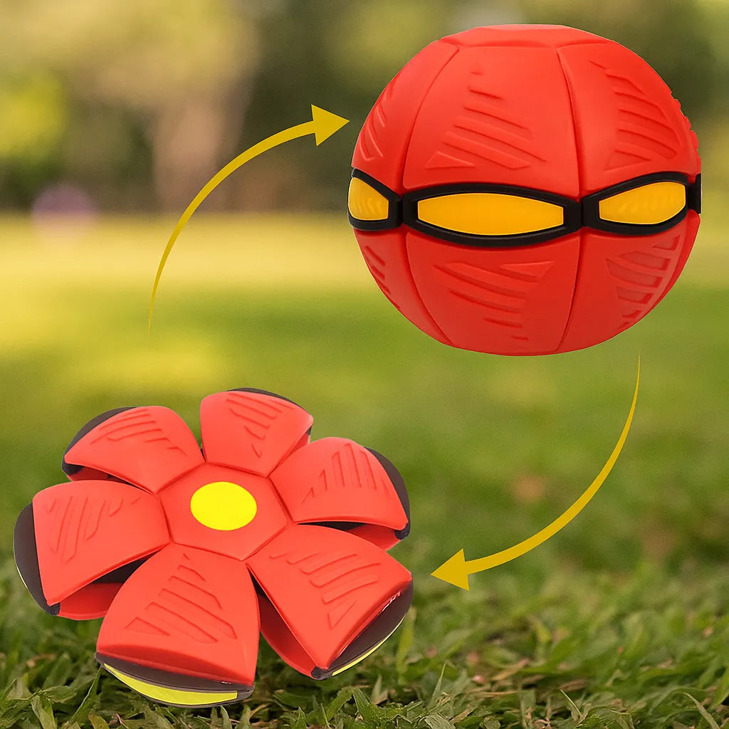 Hundespielzeug Frisbee & Ball | 2-in-1 Apportierspiel für Hunde