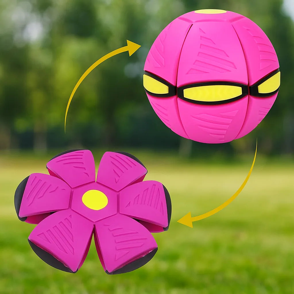 Hundespielzeug Frisbee & Ball | 2-in-1 Apportierspiel für Hunde