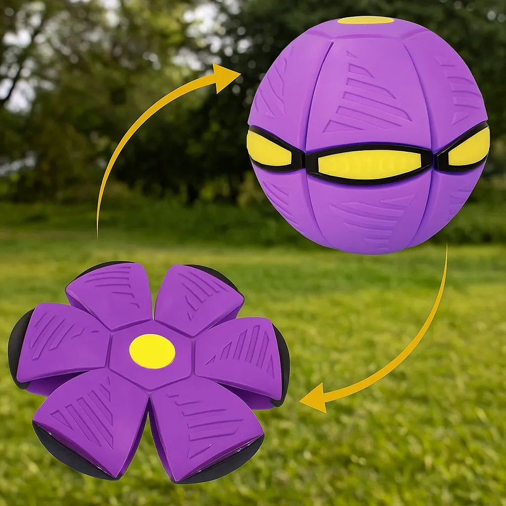 Hundespielzeug Frisbee & Ball | 2-in-1 Apportierspiel für Hunde