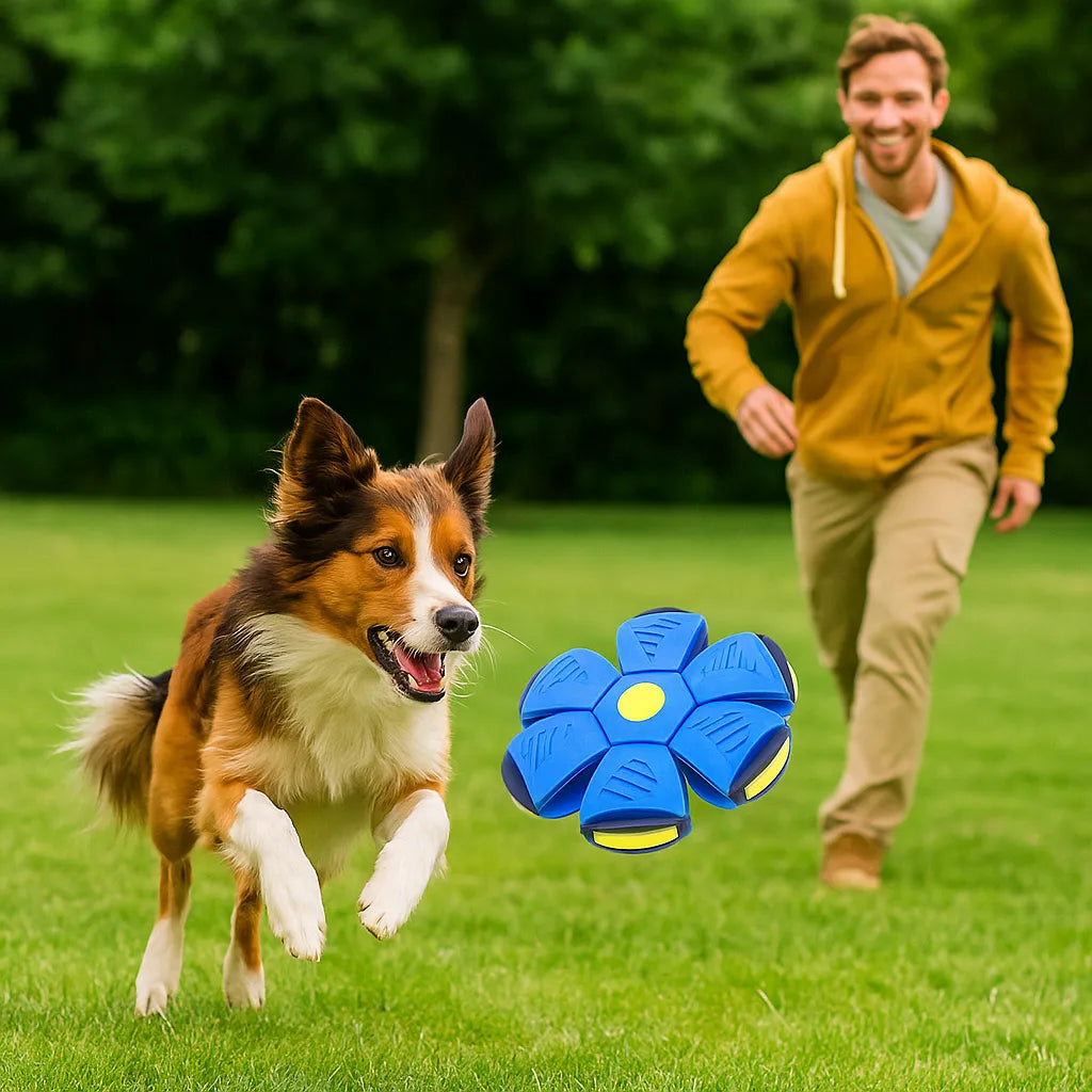 Hundespielzeug Frisbee & Ball | 2-in-1 Apportierspiel für Hunde