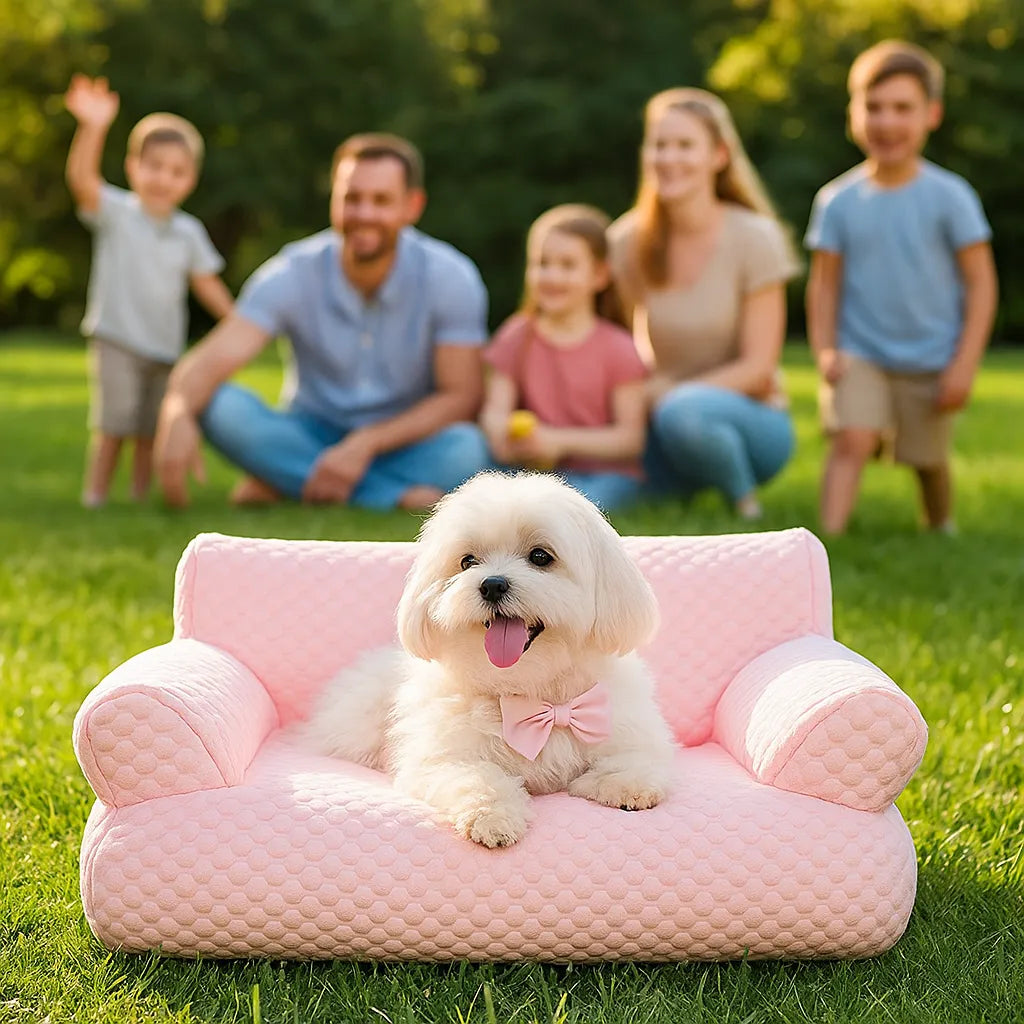 Hundesofa Kühlfunktion – Atmungsaktives Hundebett mit Rückenlehne