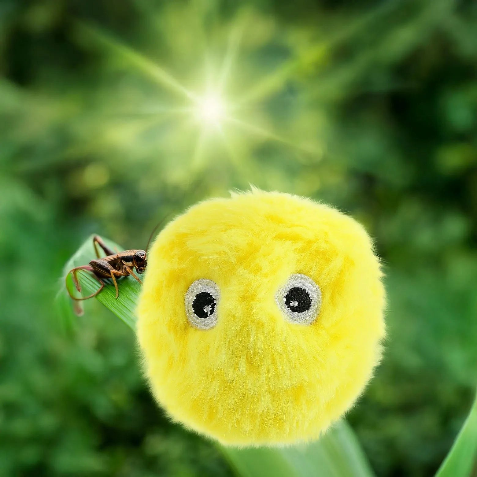 Interaktiver Katzenball mit Tiergeräuschen | Jagd- & Spielzeug für Katzen