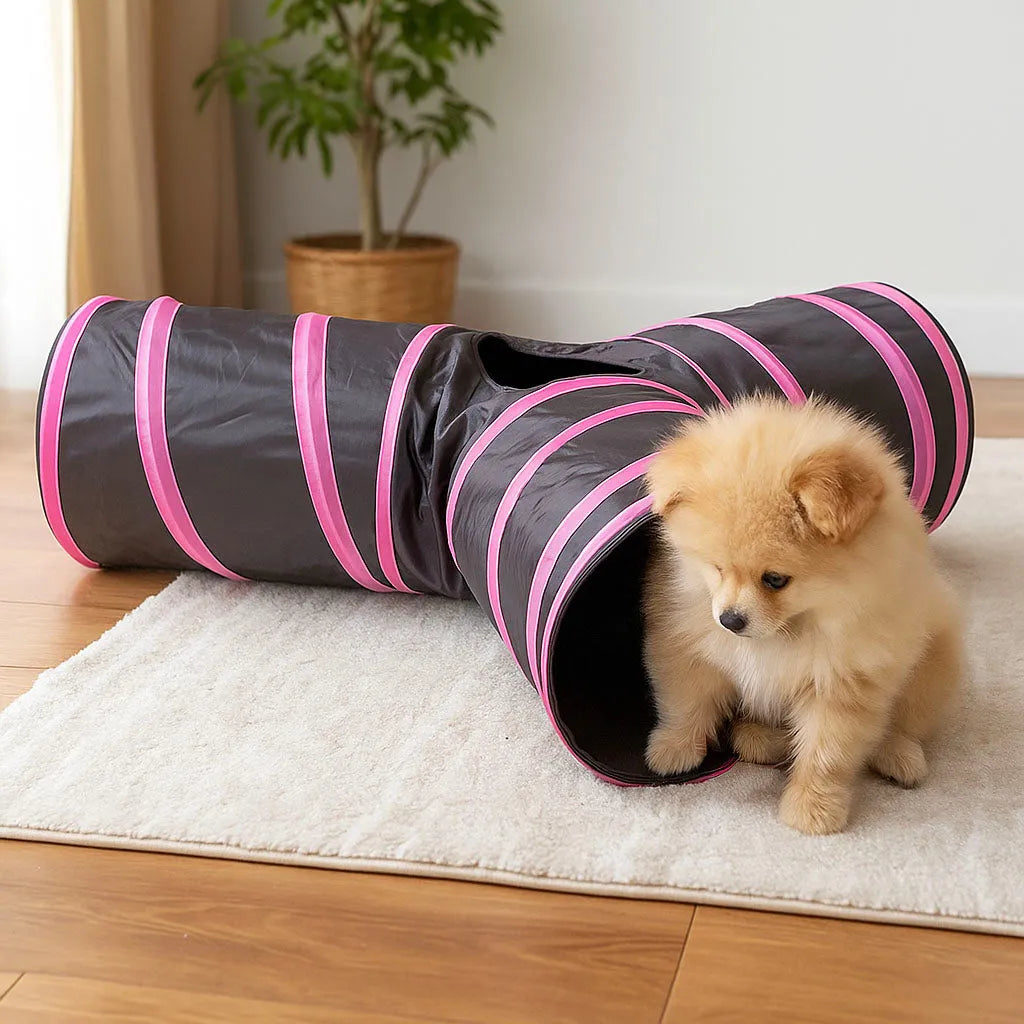 Spieltunnel 3-Wege faltbar für Katzen & kleine Hunde | Katzentunnel