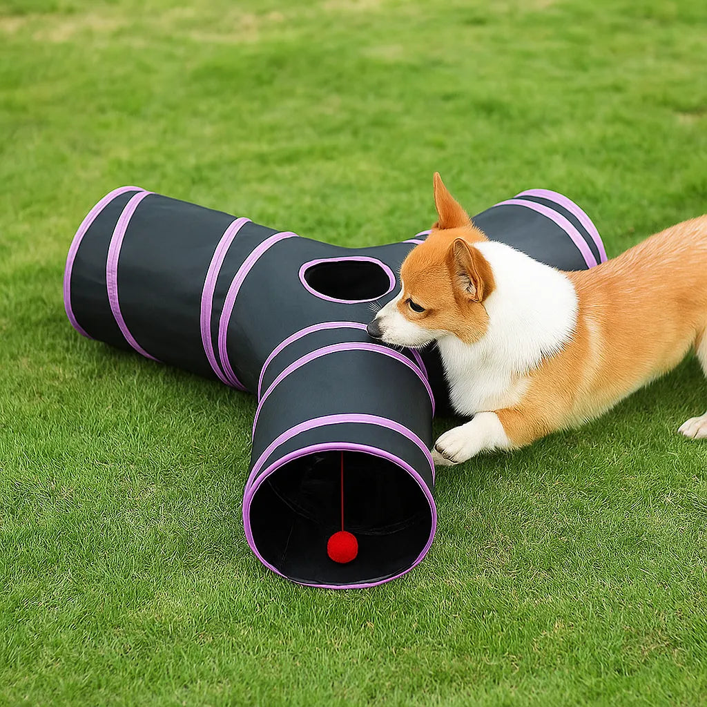 Spieltunnel 3-Wege faltbar für Katzen & kleine Hunde | Katzentunnel