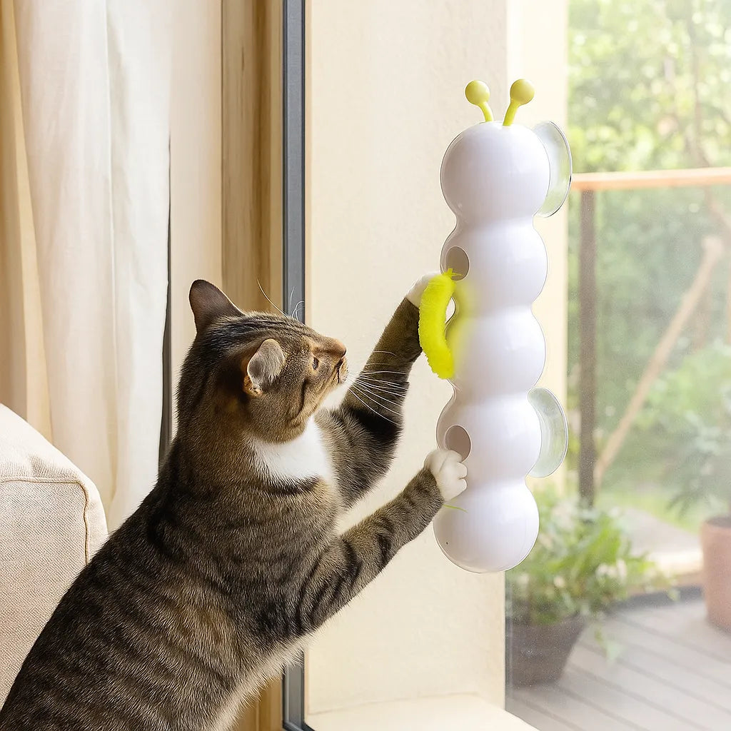 Interaktives Wandspielzeug Katze | Automatischer Wurm mit Sensor