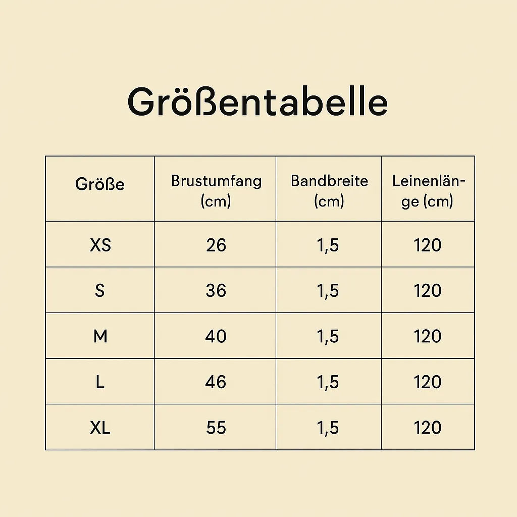 Hundegeschirr mit Leine | Atmungsaktiv, verstellbar & reflektierend