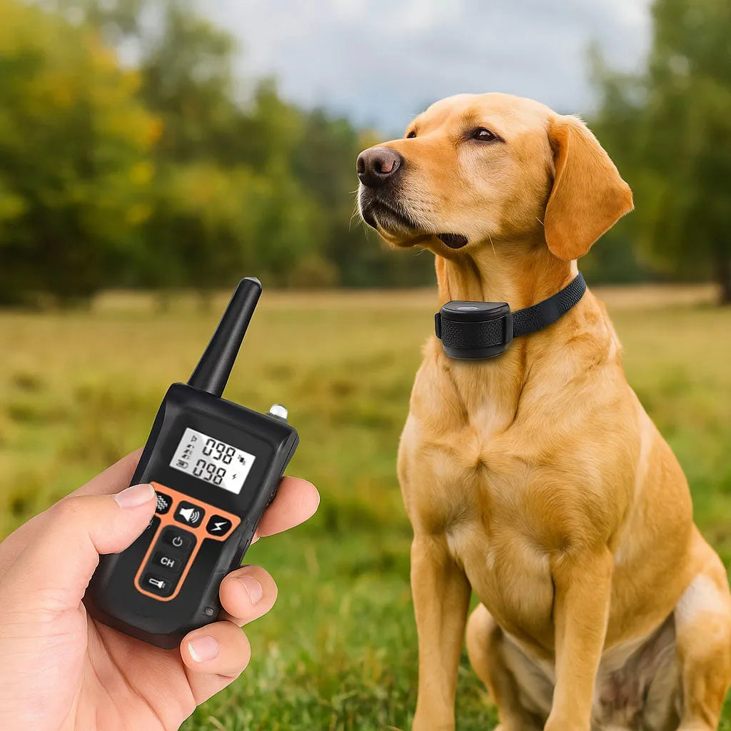 Halsband Hund | Erziehung & Anti-Bell Training mit Vibration & Ton