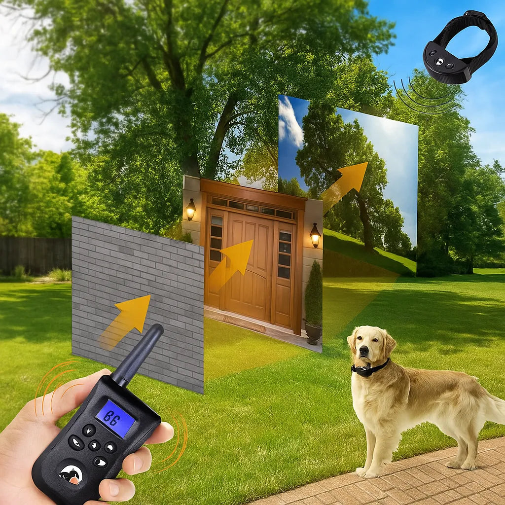 Halsband Hund | Erziehung & Anti-Bell Training mit Vibration & Ton