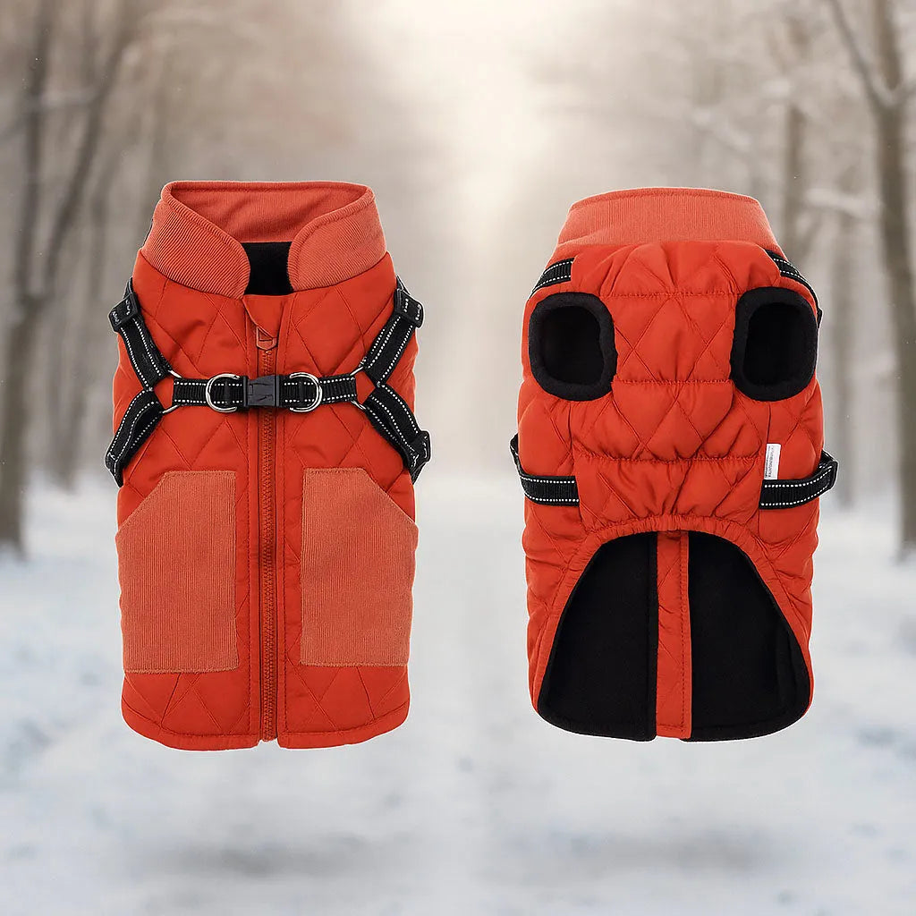 Winter Hundemantel – Wasserdicht, warm & bequem mit verstellbarem Gurt