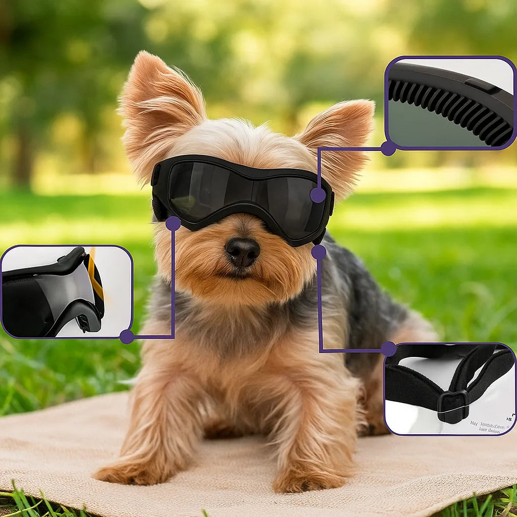 Schutzbrille für Hunde mit UV-Schutz – Gegen Sonne, Wind & Staub
