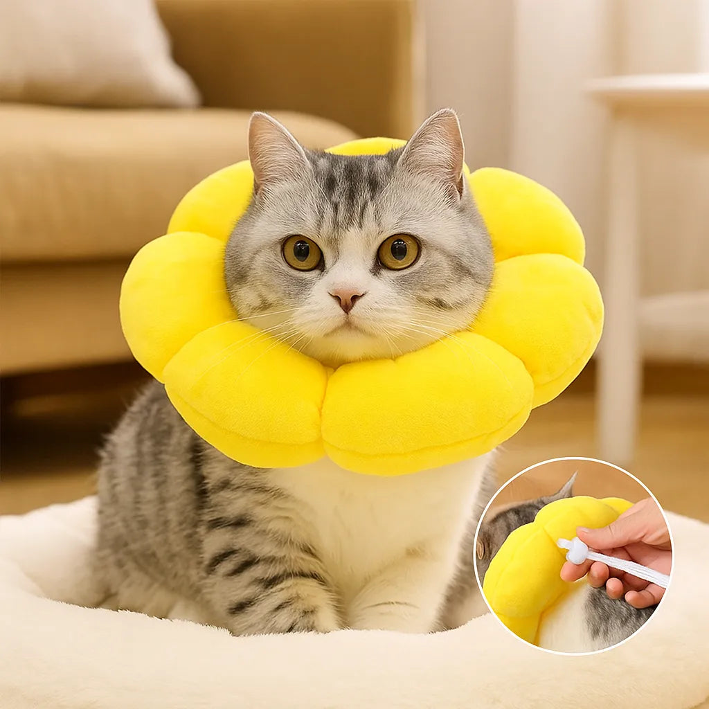 Katzen Halskrause weich | Schutzkragen, verhindert Lecken & Kratzen