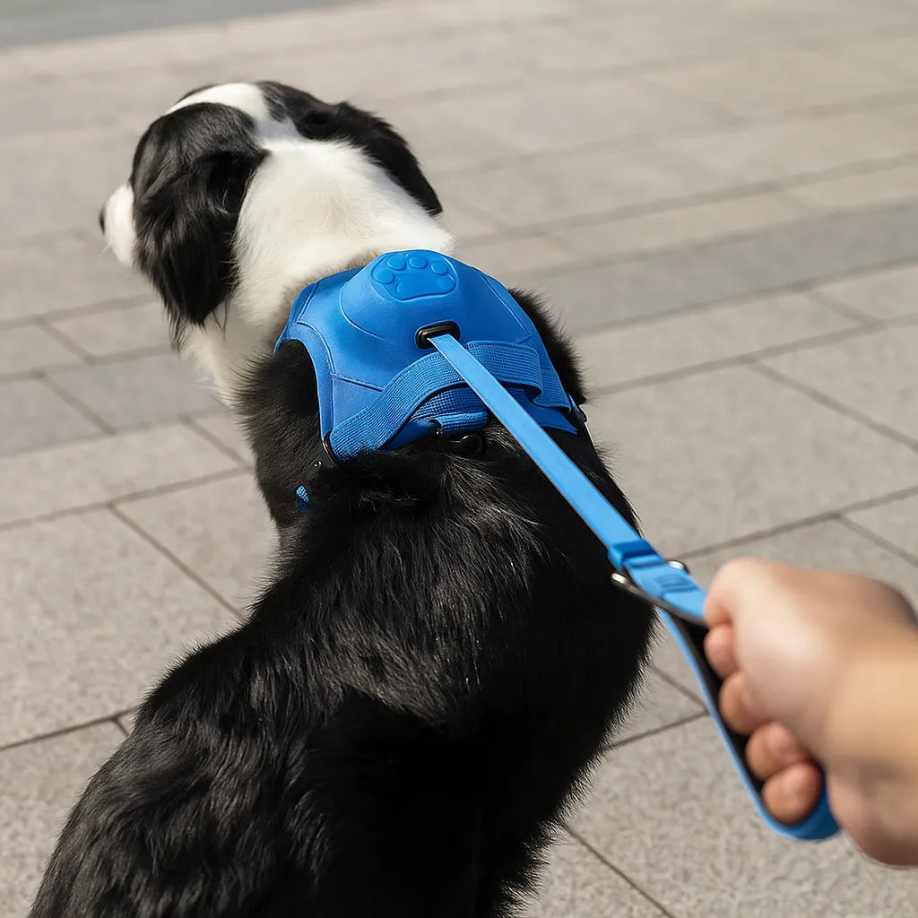 Hundegeschirr ohne Ziehen | Verstellbar & Komfortabel