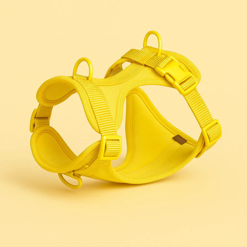 Hundegeschirr ohne Ziehen | Atmungsaktiv & verstellbar