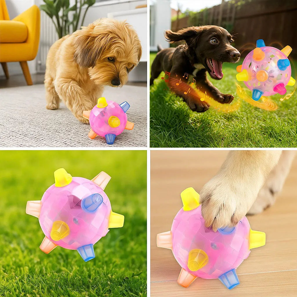 Interaktives Hundespielzeug – Springender Ball gegen Langeweile