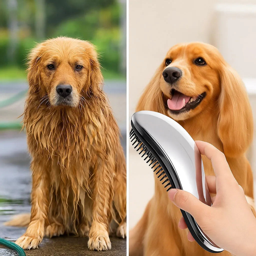 Hundebürste | Fellpflege für glänzendes & gesundes Fell