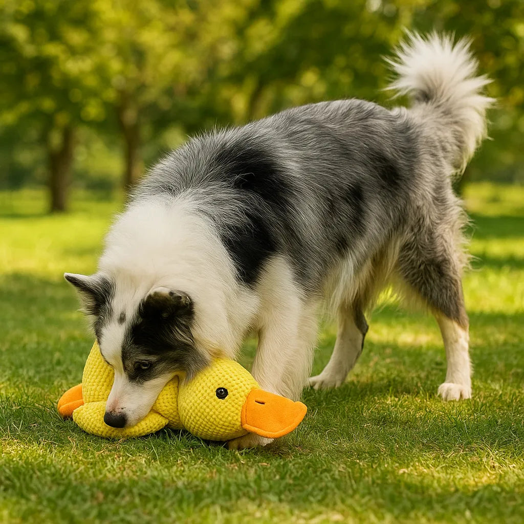 Hundespielzeug Ente mit Sound | Interaktiv & robust