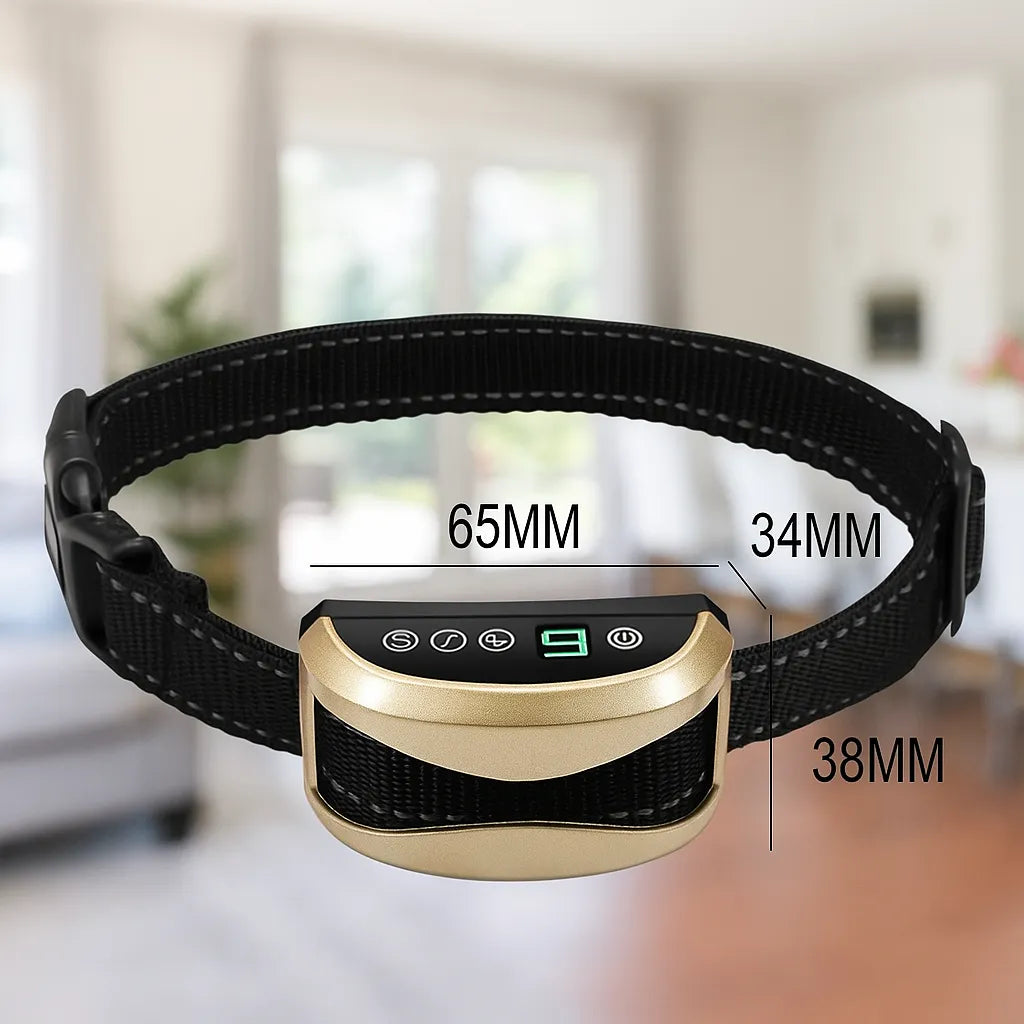 AntiBell Halsband Hund | Ton, Vibration | Wasserdicht & Akku