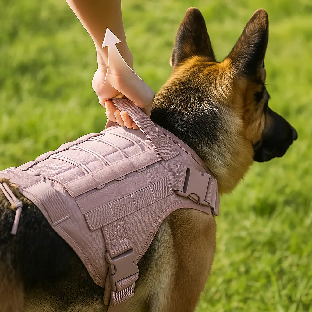 Hundegeschirr mit Griff | Stabil, bequem und outdoor-tauglich