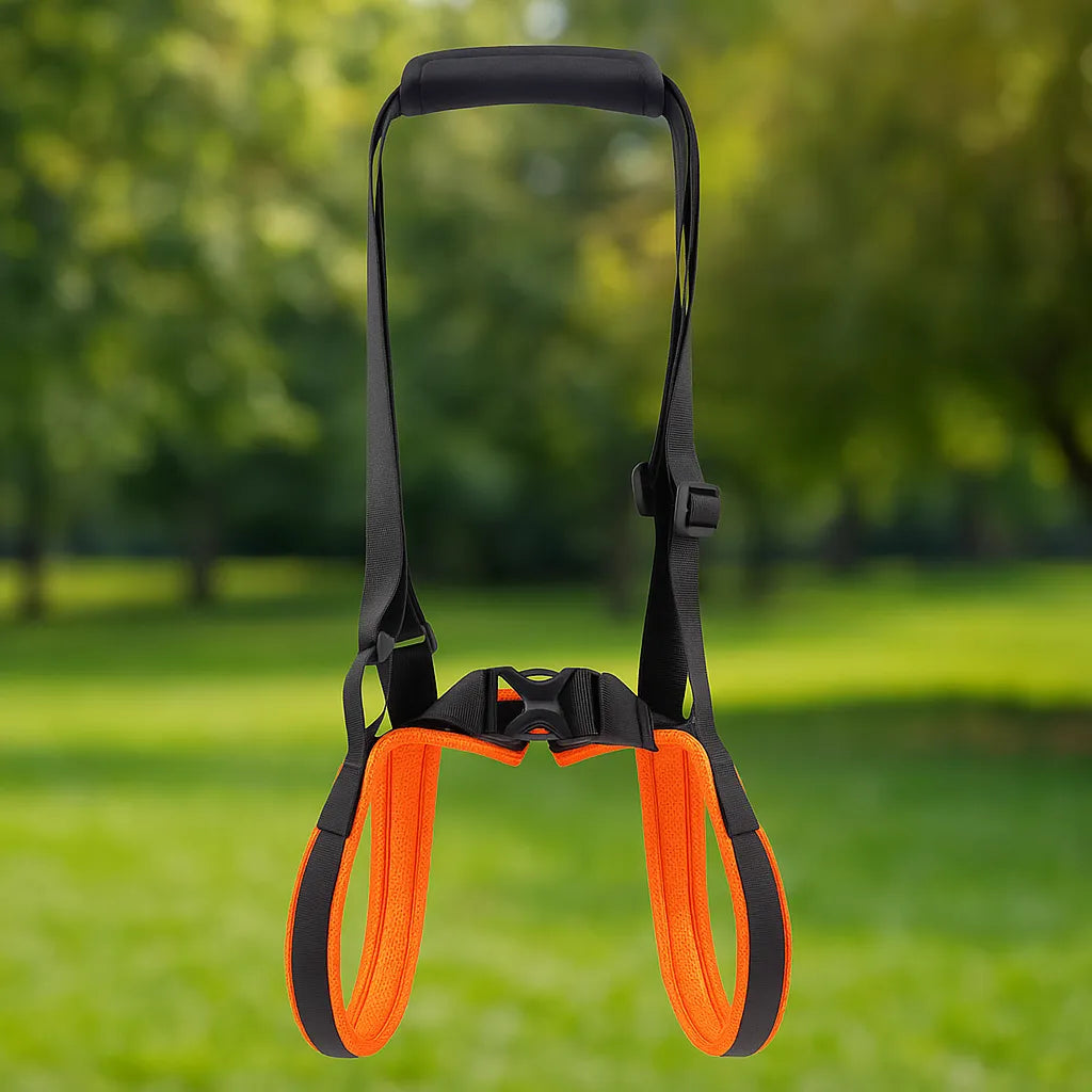 Hunde Tragegeschirr hinten | gepolstert & stabil für Unterstützung