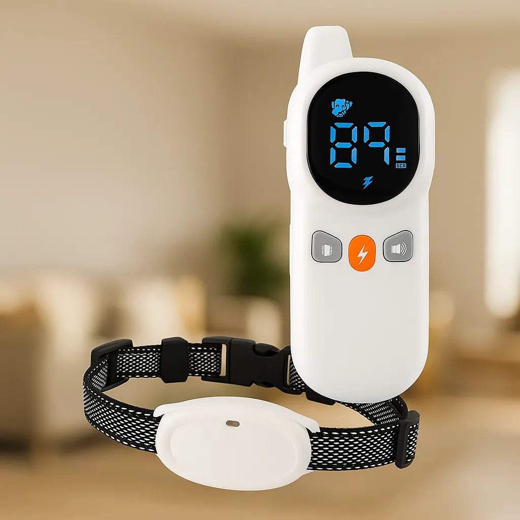 Antibellhalsband Hund | Erziehungshalsband mit Fernbedienung