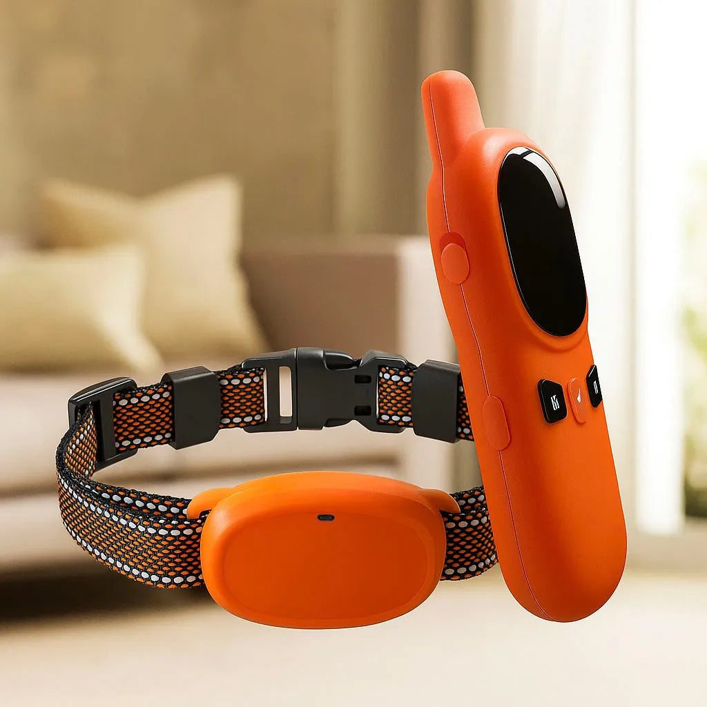 Antibellhalsband Hund | Erziehungshalsband mit Fernbedienung